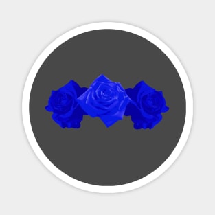 Three Blue Roses Magnet